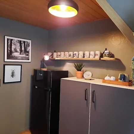 Apartment Bei Fuer Wintersport, Cleaning Included