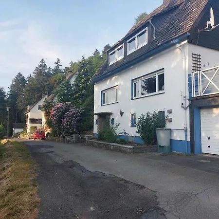 Apartment Bei Fuer Wintersport, Cleaning Included Willingen (Upland)