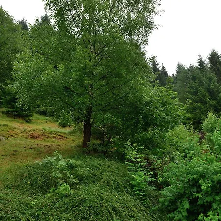 Bei Fuer Wintersport, Cleaning Included Apartment