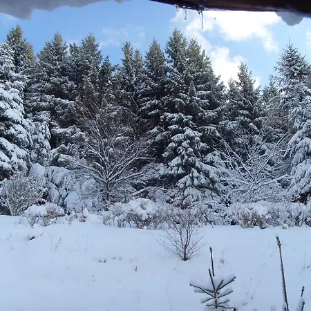 Bei Fuer Wintersport, Cleaning Included Willingen (Upland)
